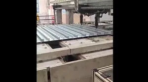 Self-Piercing Riveting System (Elevator Automatic Riveting)